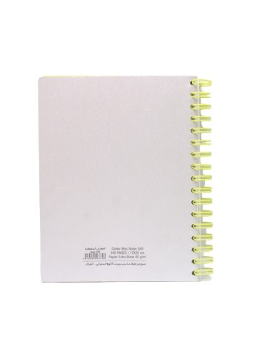 CAHIER 240 PAGES SPIRAL 17X22 5x5