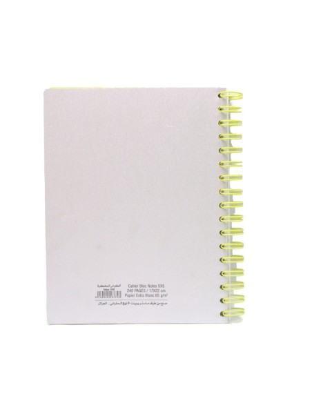 CAHIER 240 PAGES SPIRAL 17X22 5x5