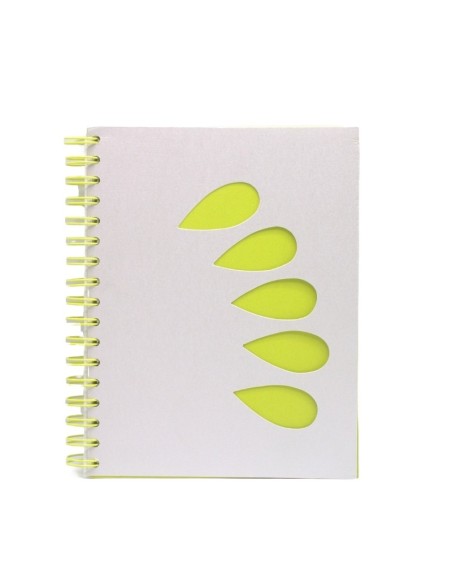 CAHIER 240 PAGES SPIRAL 17X22 5x5