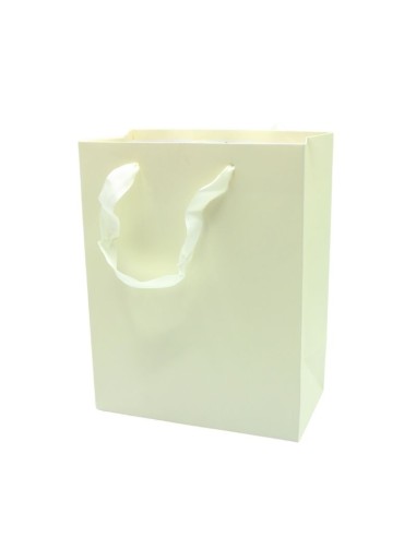 SAC EN PAPIER COULEUR 18x23 MOBS LZ-0774