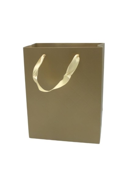 SAC EN PAPIER COULEUR 18x23 MOBS LZ-0774