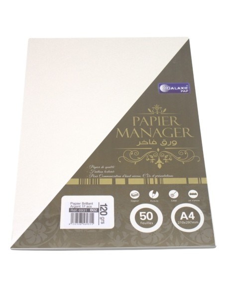 PAPIER MANAGER SPECIAUX A4 120Gr 50F B02 ARGENT GALAXIE 6931
