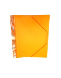 PORTE FICHES 120 POCHETTES SPIRALE NEON ELASTIQUE CRISTAL CR-0412 2