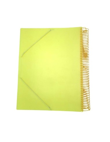 PORTE FICHES 100 POCHETTES SPIRALE PASTAL ELASTIQUE CRISTAL CR-0610