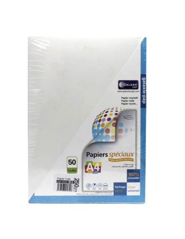 PAPIER MANAGER SPECIAUX A4 250Gr 50F M4 TOILE GALAXIE